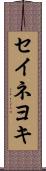 セイネヨキ Scroll