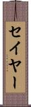 セイヤー Scroll