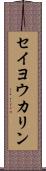 セイヨウカリン Scroll