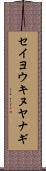セイヨウキヌヤナギ Scroll