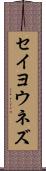 セイヨウネズ Scroll
