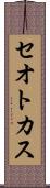セオトカス Scroll