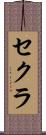 セクラ Scroll