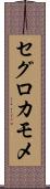 セグロカモメ Scroll