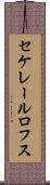 セケレールロフス Scroll