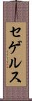 セゲルス Scroll