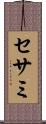 セサミ Scroll