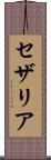 セザリア Scroll
