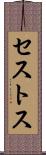 セストス Scroll