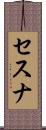 セスナ Scroll