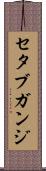 セタブガンジ Scroll