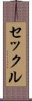 セックル Scroll