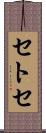 セトセ Scroll