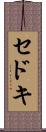 セドキ Scroll