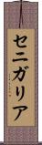 セニガリア Scroll