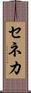 セネカ Scroll