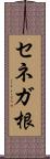 セネガ根 Scroll