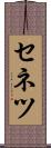 セネツ Scroll