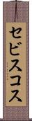 セビスコス Scroll