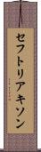 セフトリアキソン Scroll
