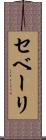 セベーリ Scroll