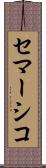 セマーシコ Scroll