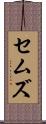 セムズ Scroll