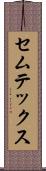 セムテックス Scroll