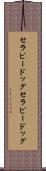 セラピードッグ Scroll