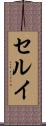 セルイ Scroll