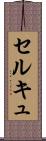 セルキュ Scroll