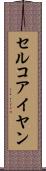 セルコアイヤン Scroll