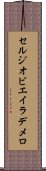 セルジオビエイラデメロ Scroll