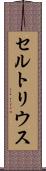 セルトリウス Scroll