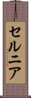 セルニア Scroll