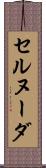 セルヌーダ Scroll
