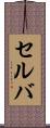 セルバ Scroll