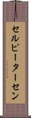 セルピーターセン Scroll