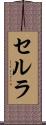 セルラ Scroll