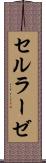 セルラーゼ Scroll