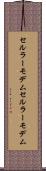 セルラーモデム Scroll