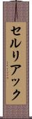 セルリアック Scroll