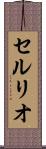 セルリオ Scroll