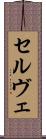 セルヴェ Scroll