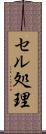 セル処理 Scroll