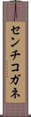 センチコガネ Scroll