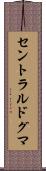 セントラル・ドグマ Scroll