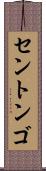 セントンゴ Scroll