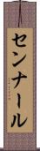 センナール Scroll