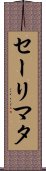 Salimata Scroll